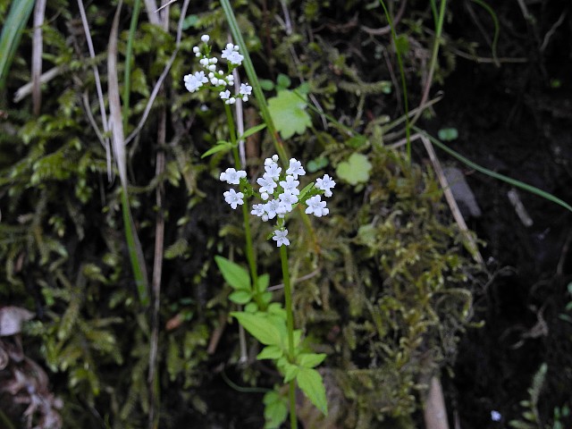 140506050.jpg