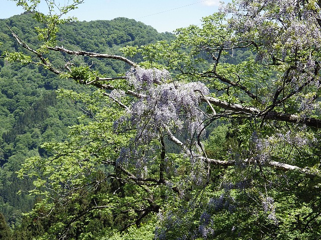 140518040.jpg