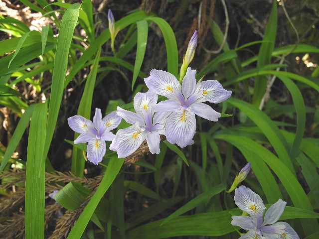 140518210.jpg