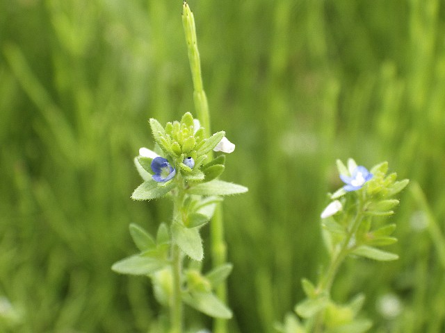 140525040.jpg
