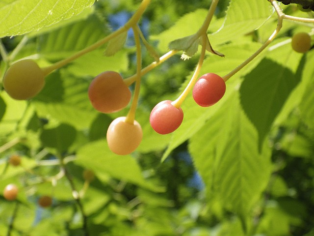 140601150.jpg