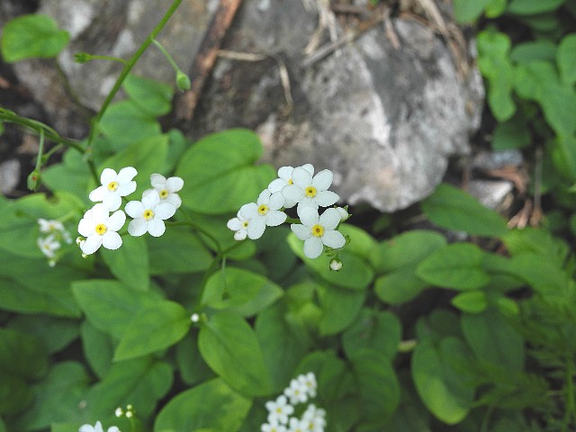 140615070.jpg