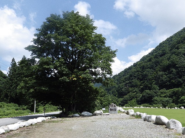 140720010.jpg