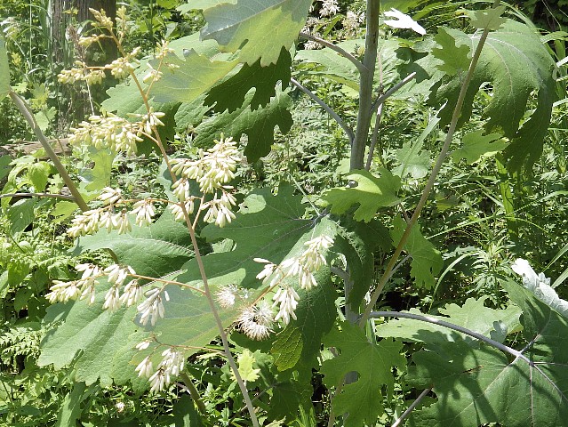 140720030.jpg