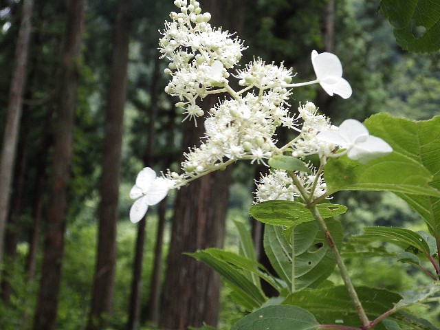 140720070.jpg