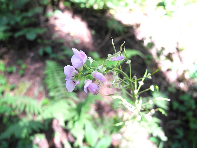 140907090.jpg
