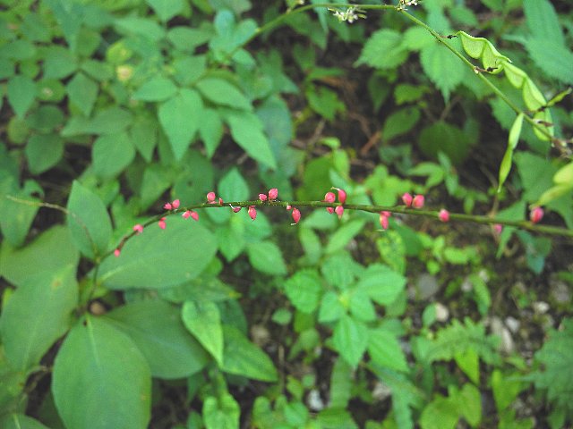 140907140.jpg