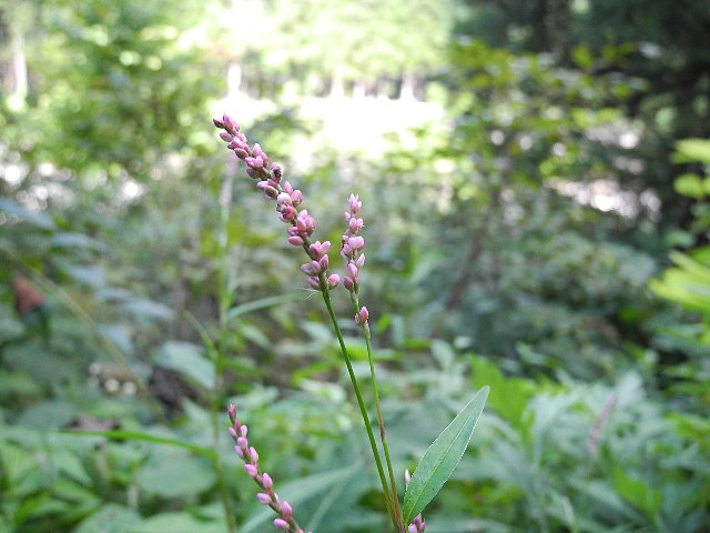 140907150.jpg