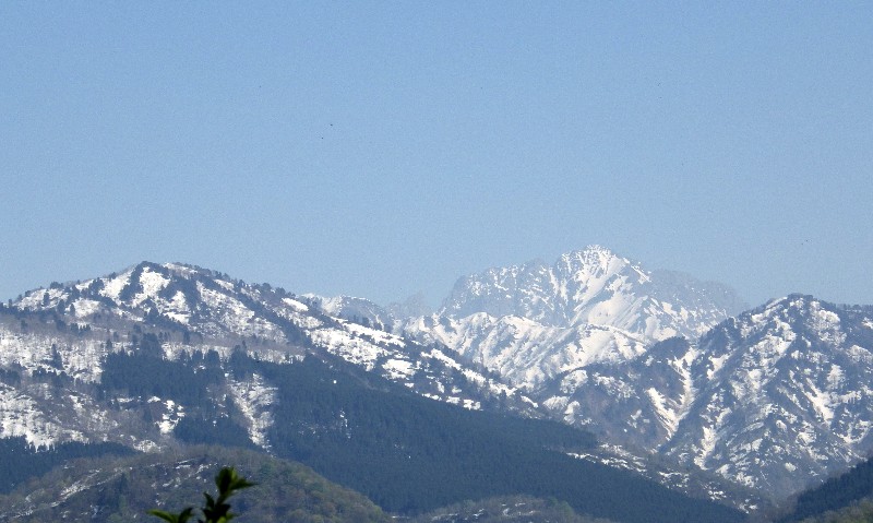 150426240.jpg