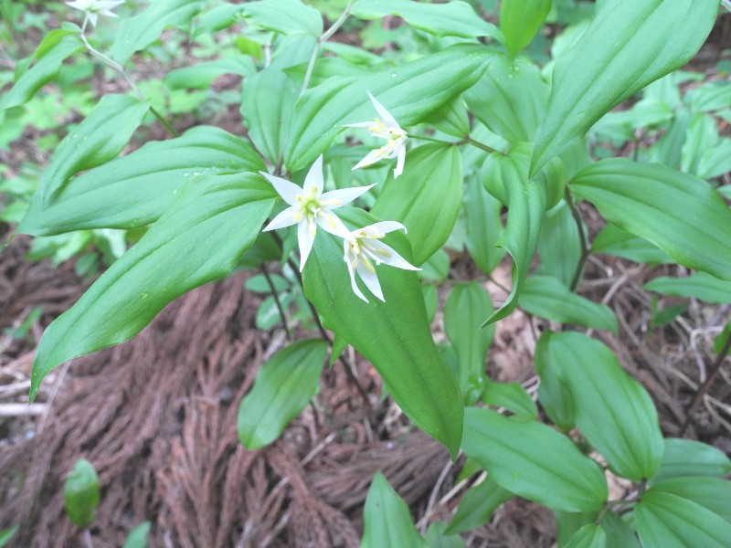 150504050.jpg