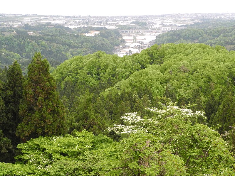 150504090.jpg