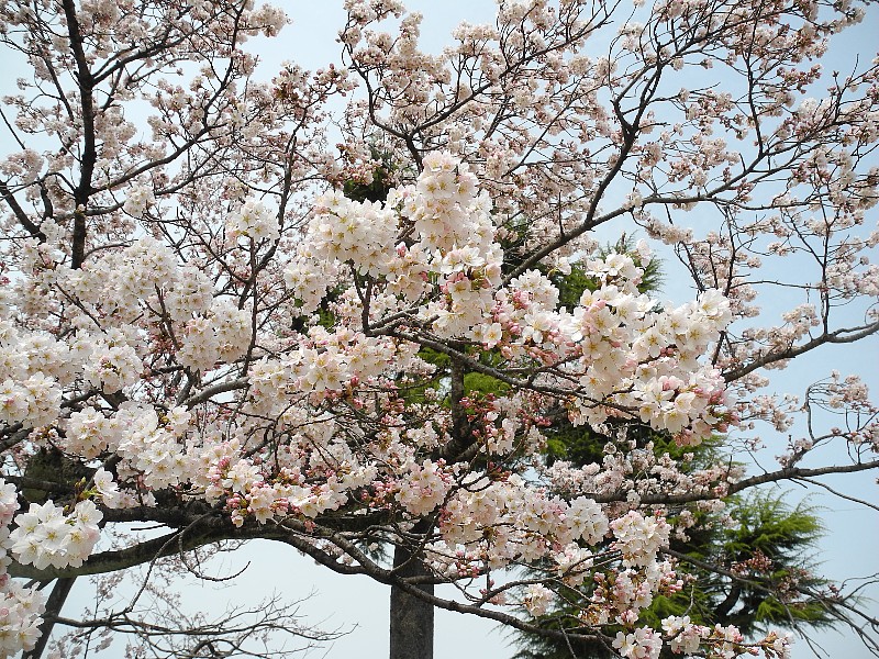 180329010.jpg