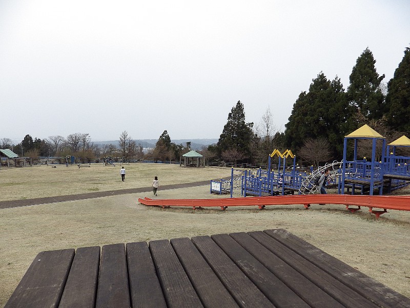 180401100.jpg