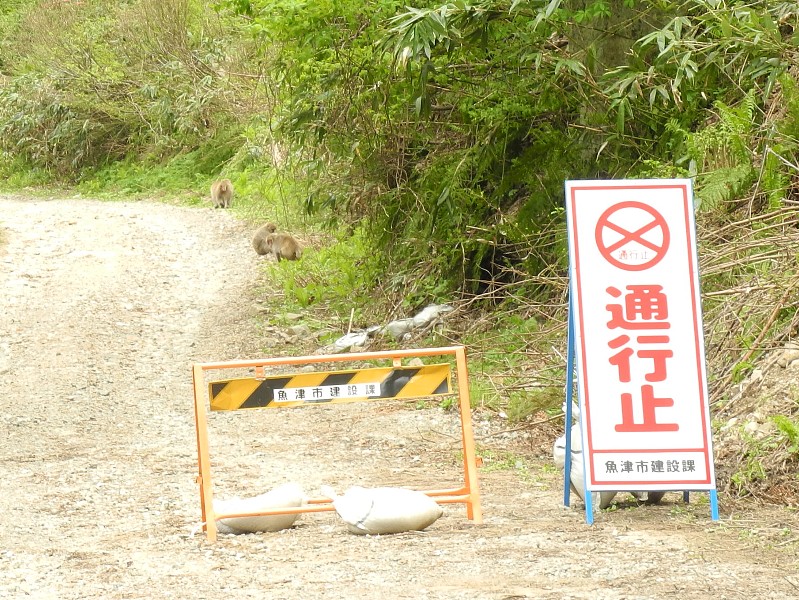 180506110.jpg
