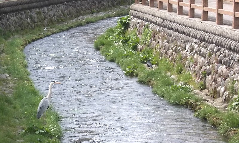 19032801.jpg
