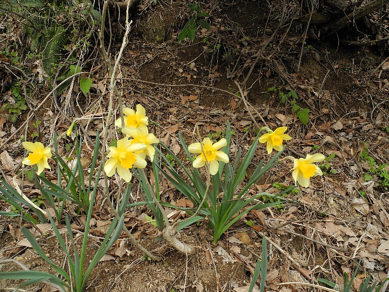 19040410.jpg