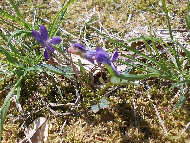 190503120.jpg