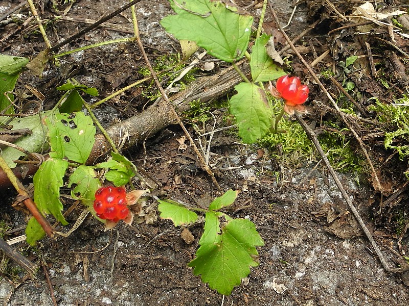 190725160.jpg