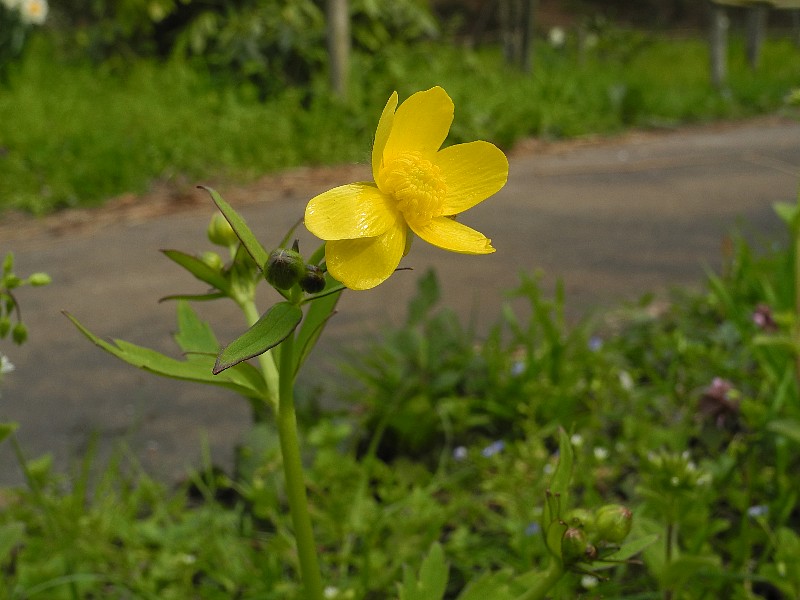 200408070.jpg
