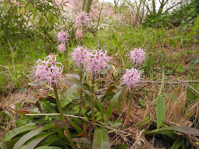 200408090.jpg