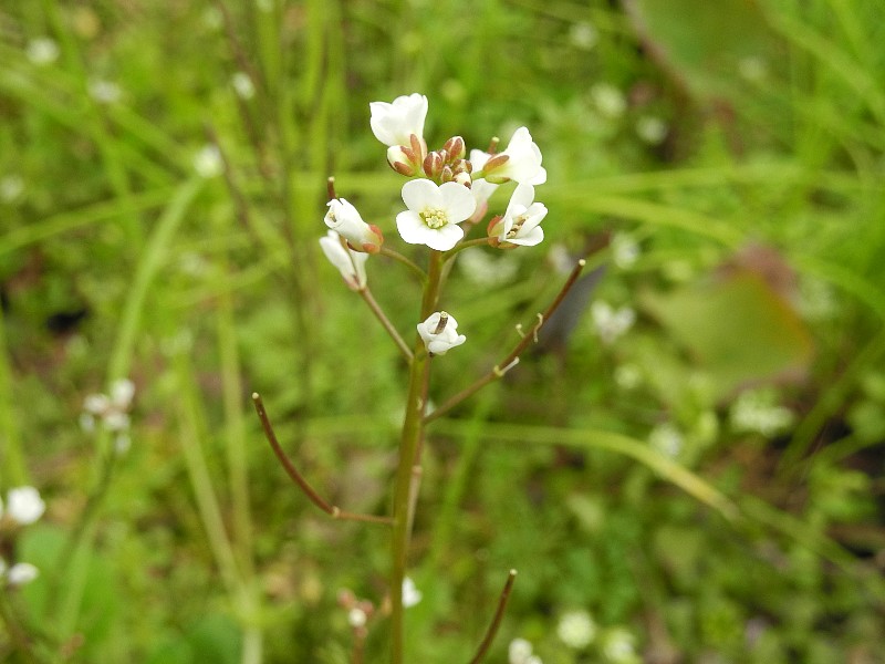 200408140.jpg