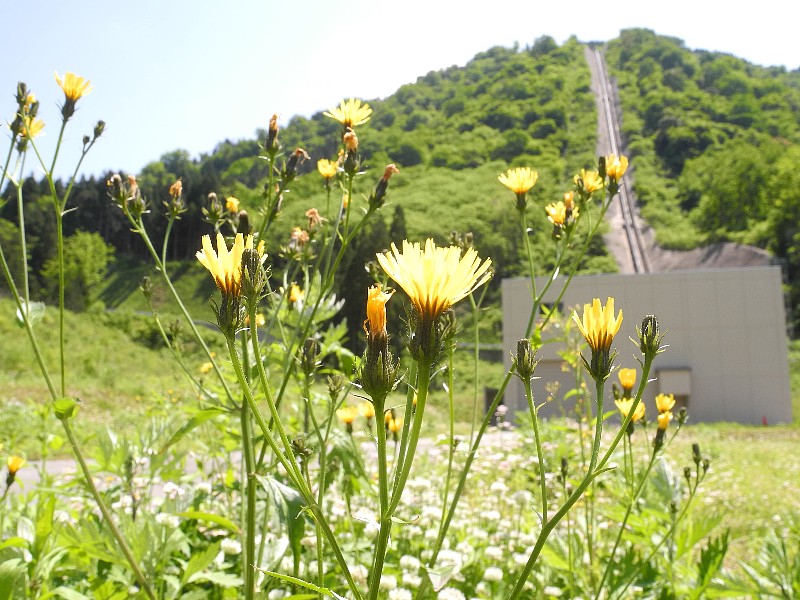 200524100.jpg