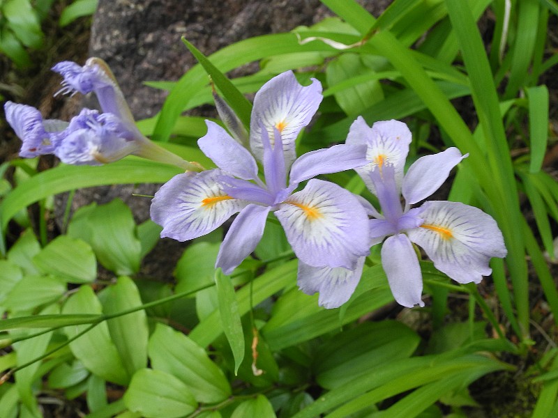 200524160.jpg
