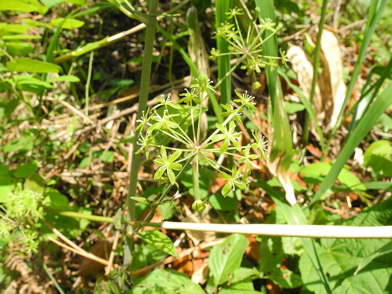 200524210.jpg