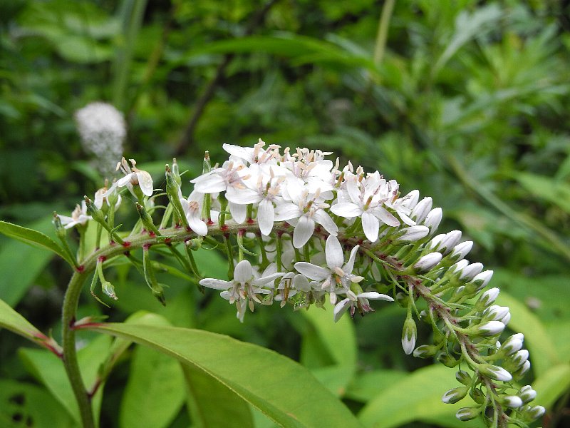 200705090.jpg