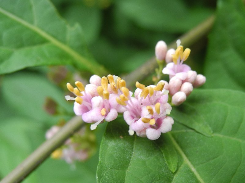 200705150.jpg