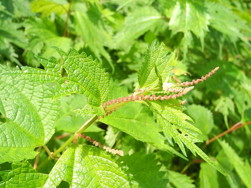 200719140.jpg
