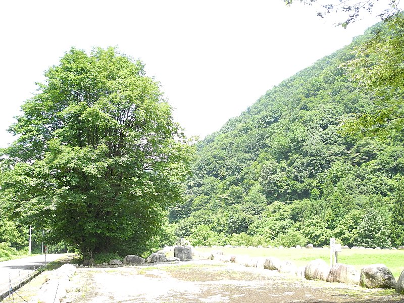 200719190.jpg