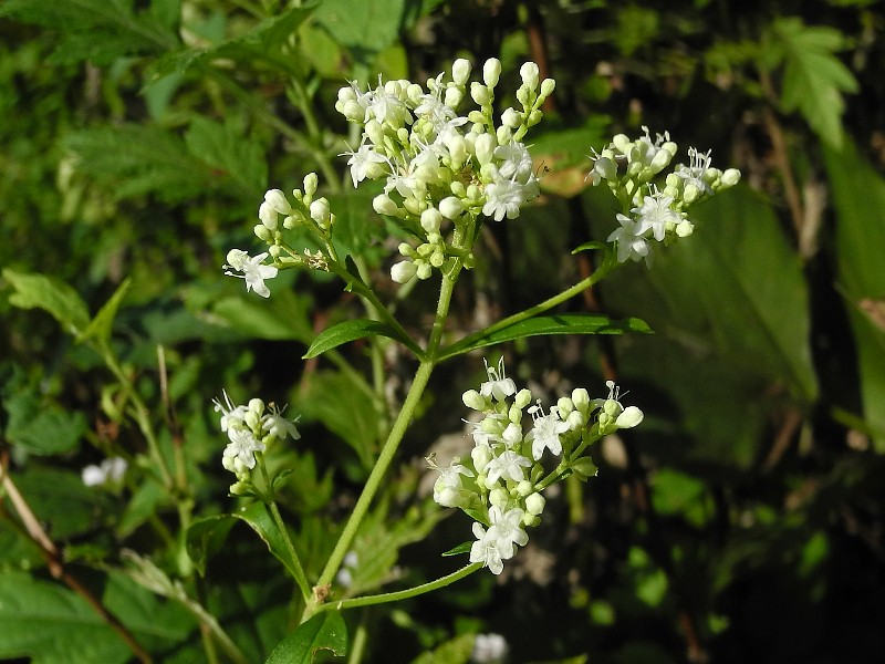 200916030.jpg