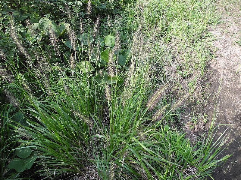 200916090.jpg