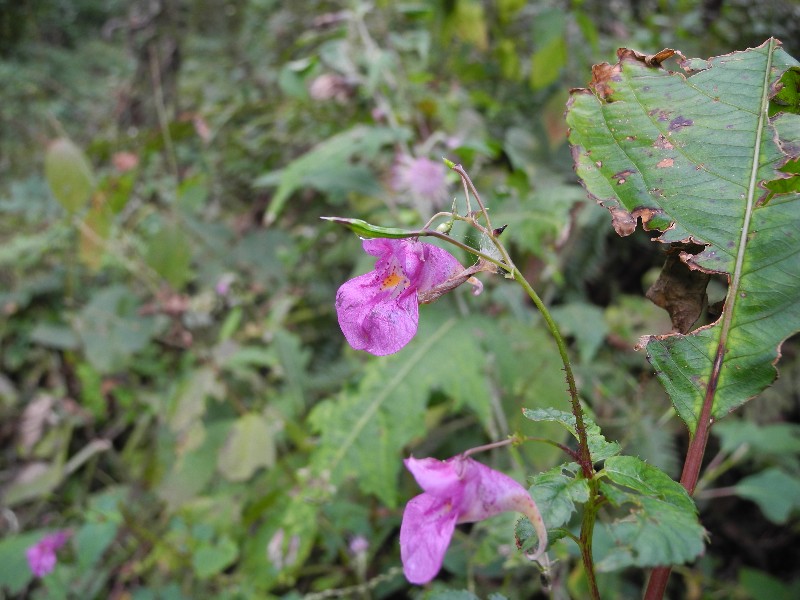 201015040.jpg