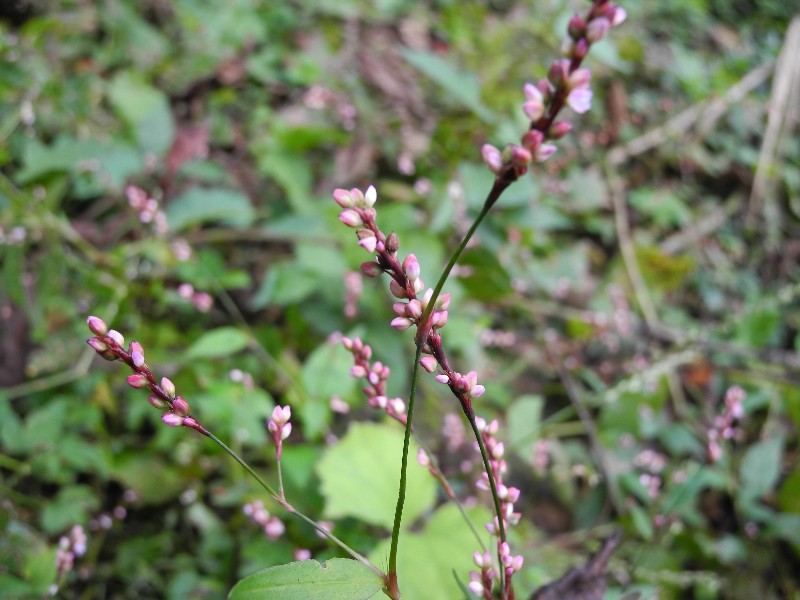 201015050.jpg