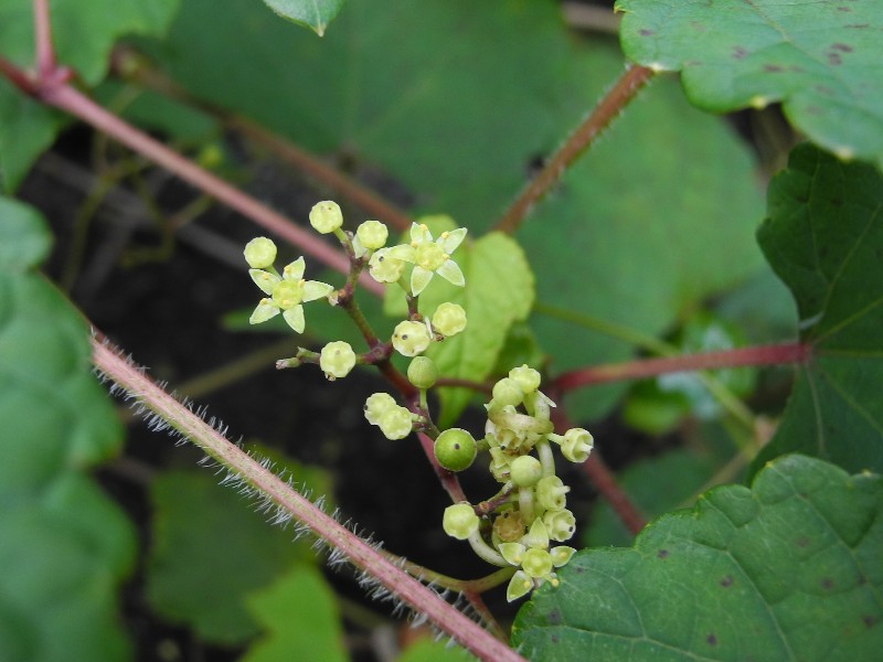 201015060.jpg