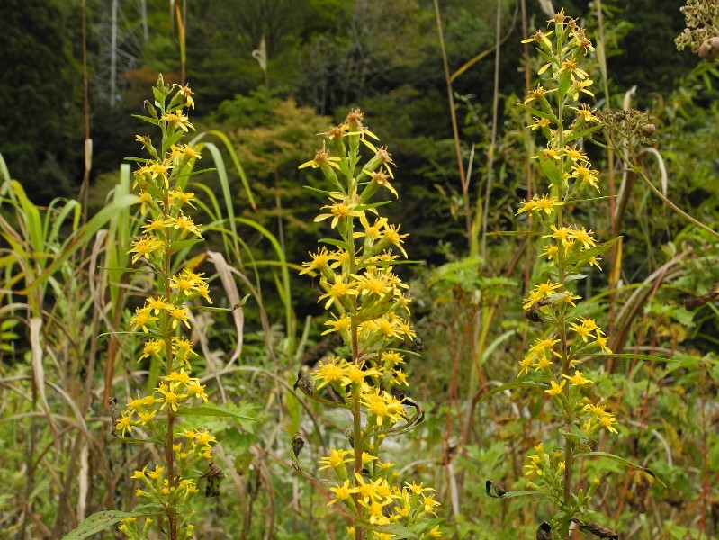 201015080.jpg