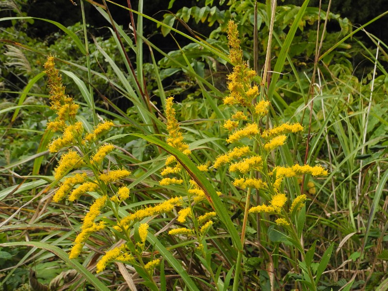 201015100.jpg