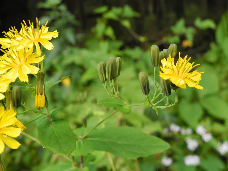 201015140.jpg
