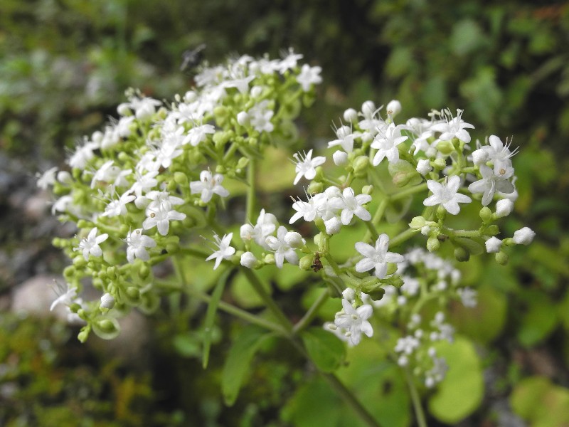 201015150.jpg