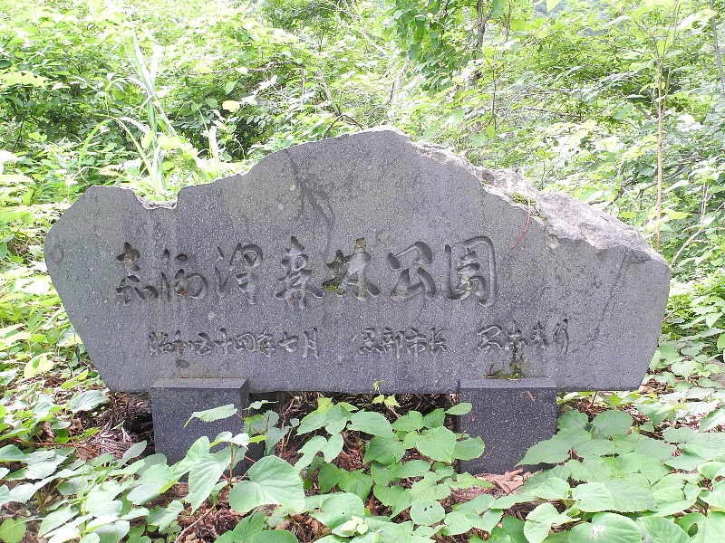 210714180.jpg